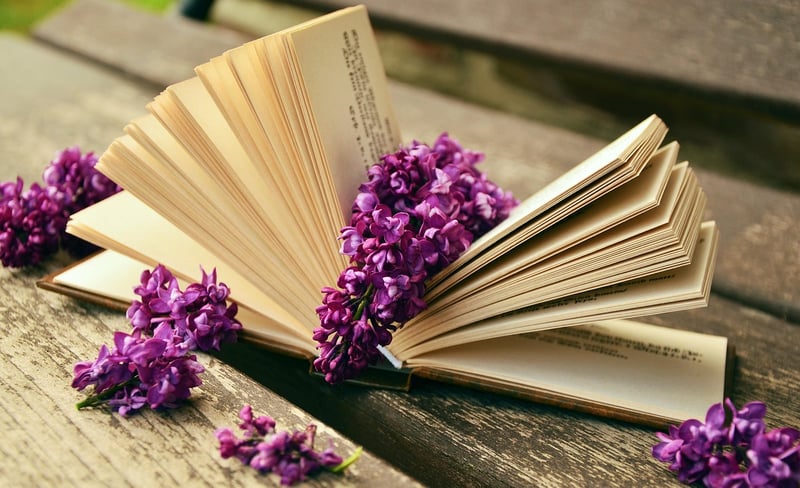 Revamped Vintage Books